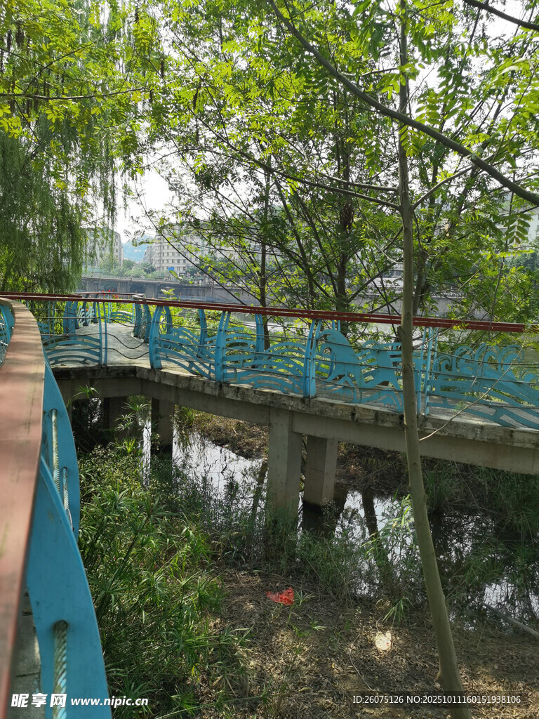 河畔蓝色栈道旁绿树成荫