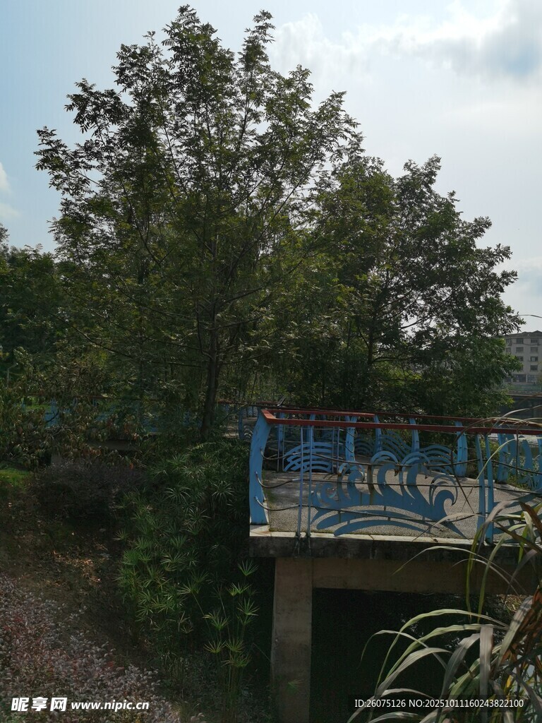 桥上风景绿树环绕