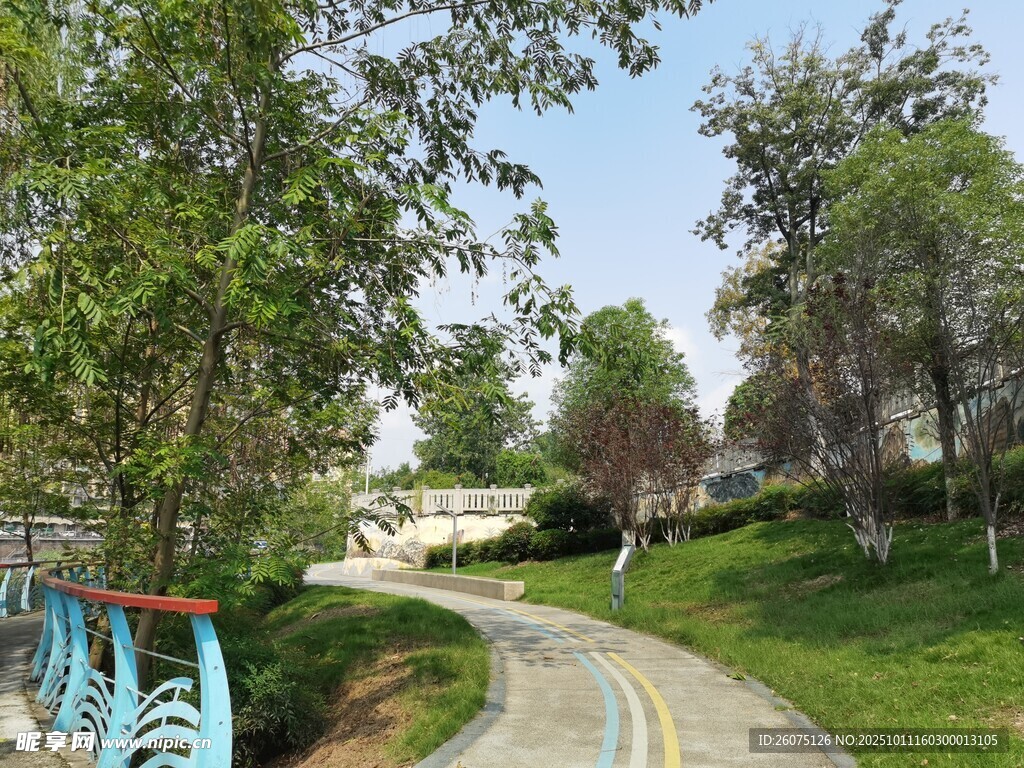蜿蜒小路旁的葱郁景致