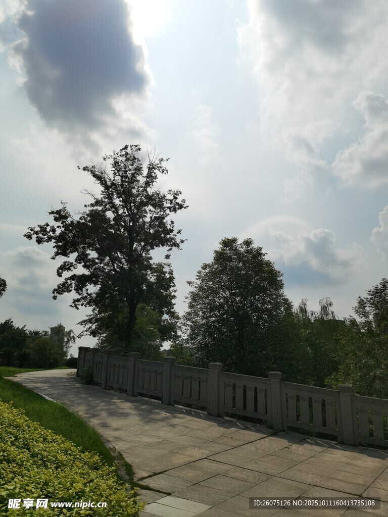 户外林荫小道风景
