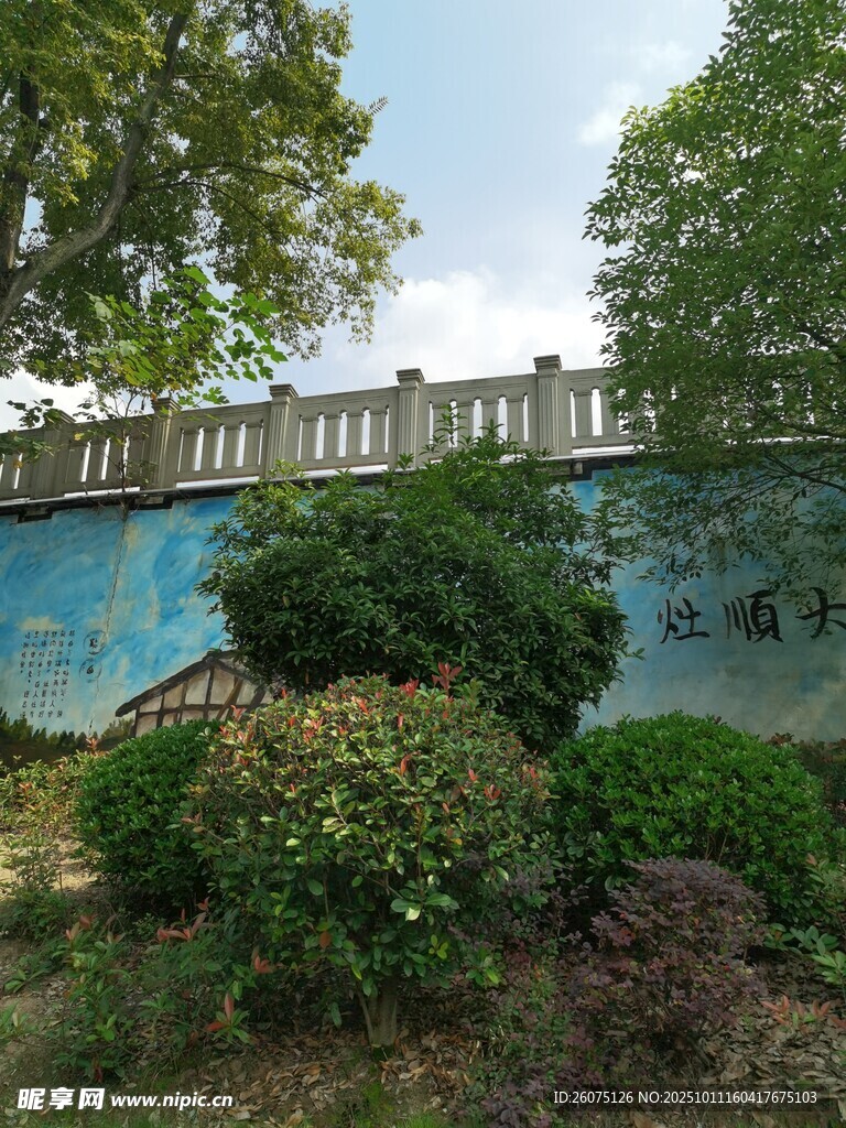蓝墙绿植旁的户外景致