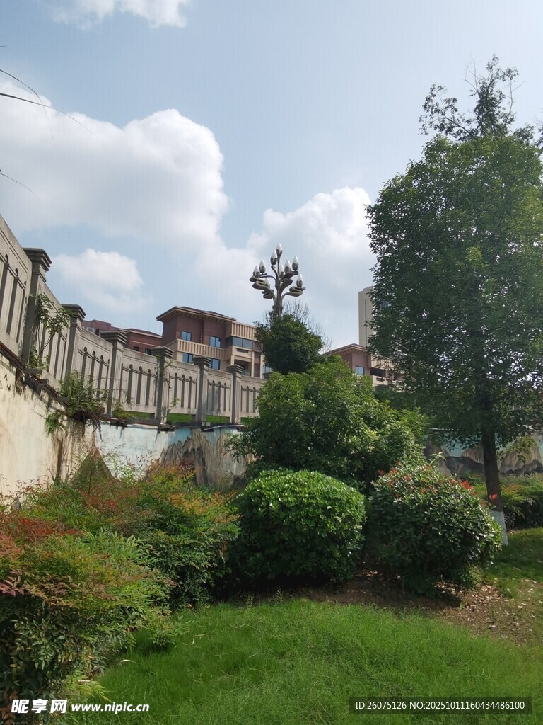古朴围墙旁的绿植景致