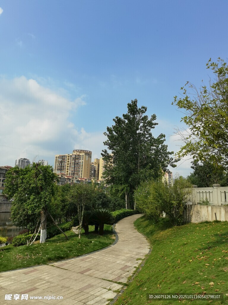郊外小径旁的绿植与建筑