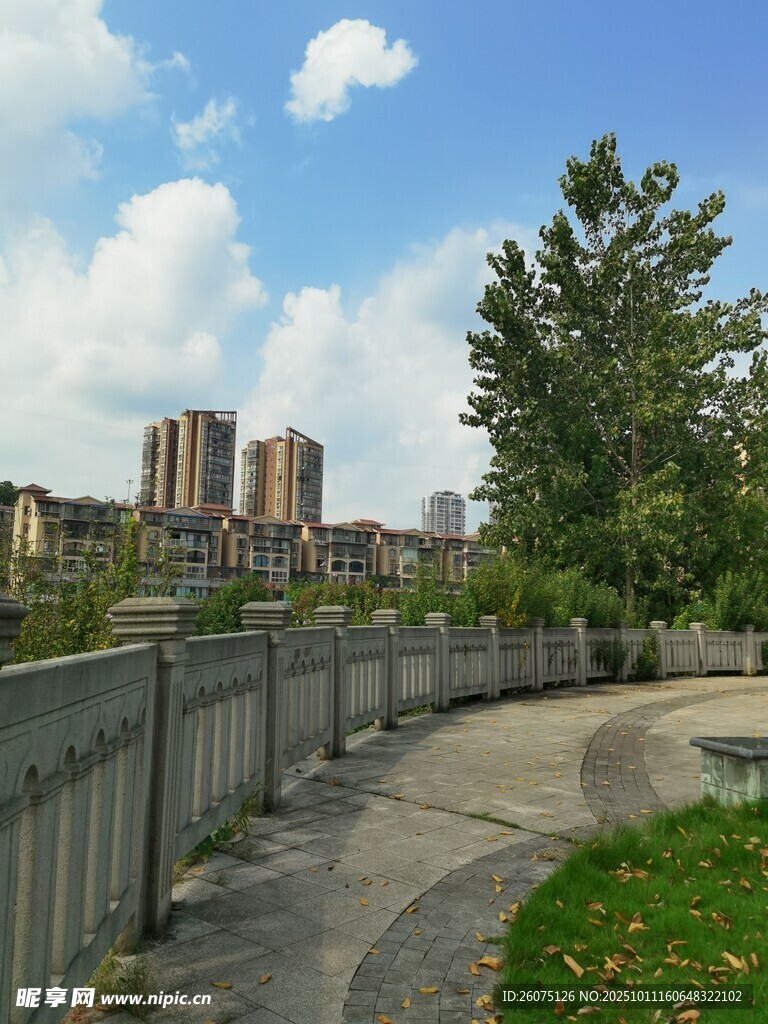 城市中宁静的步道风景