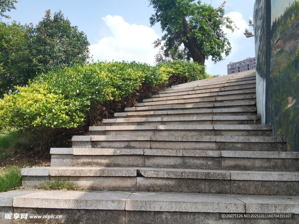 户外石阶旁绿植景致