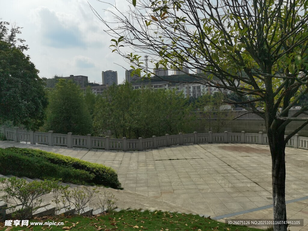 城市中的宁静户外景观