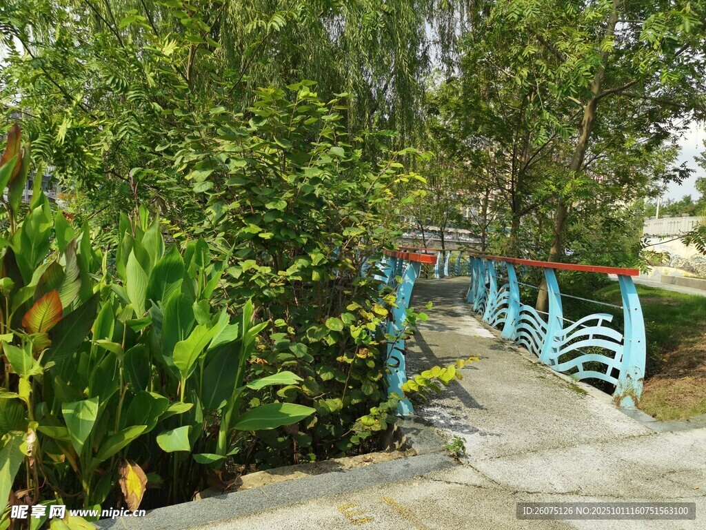 河畔绿植与蓝色步道景观