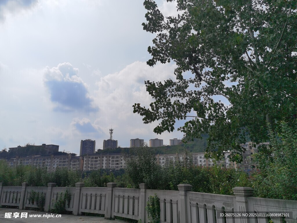 城市远景与绿树围栏景观