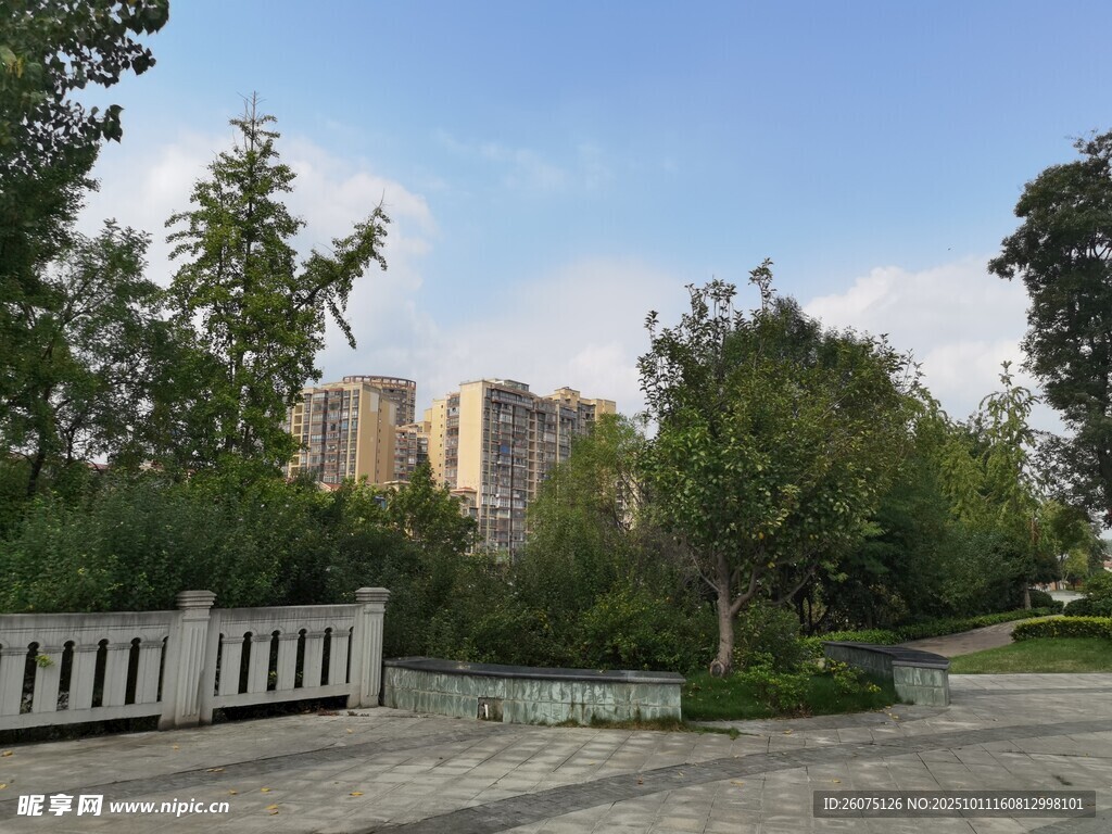 城市中的静谧园林景观