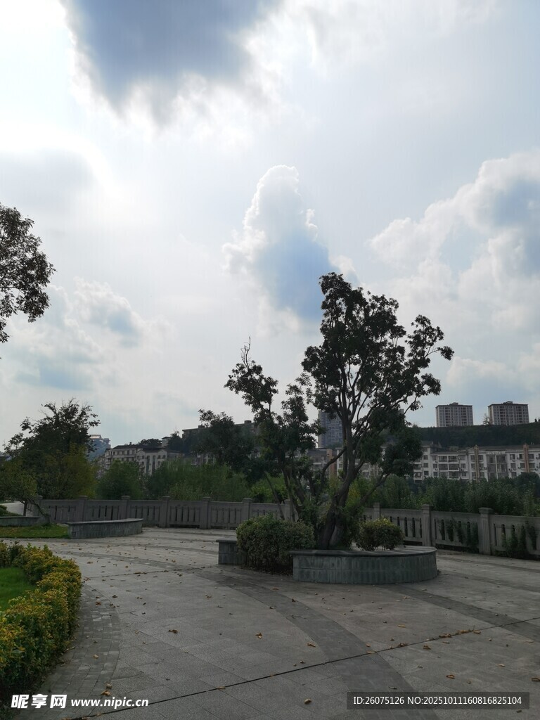 户外开阔绿植景观空间