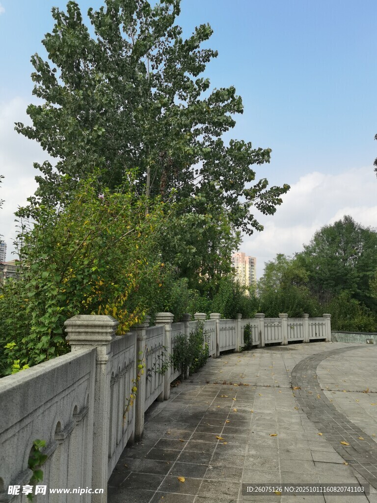 河畔石栏旁的林荫小道