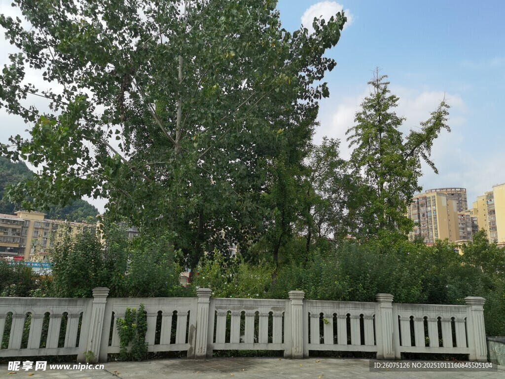 户外绿植与白色围栏景观