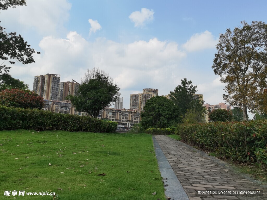 城市中宁静的绿道景观