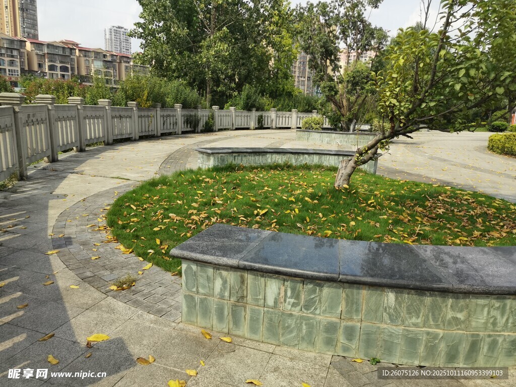城市公园中的圆形绿植景观