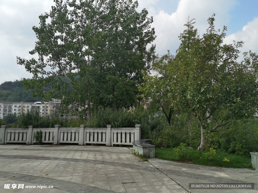 户外庭院绿植景观