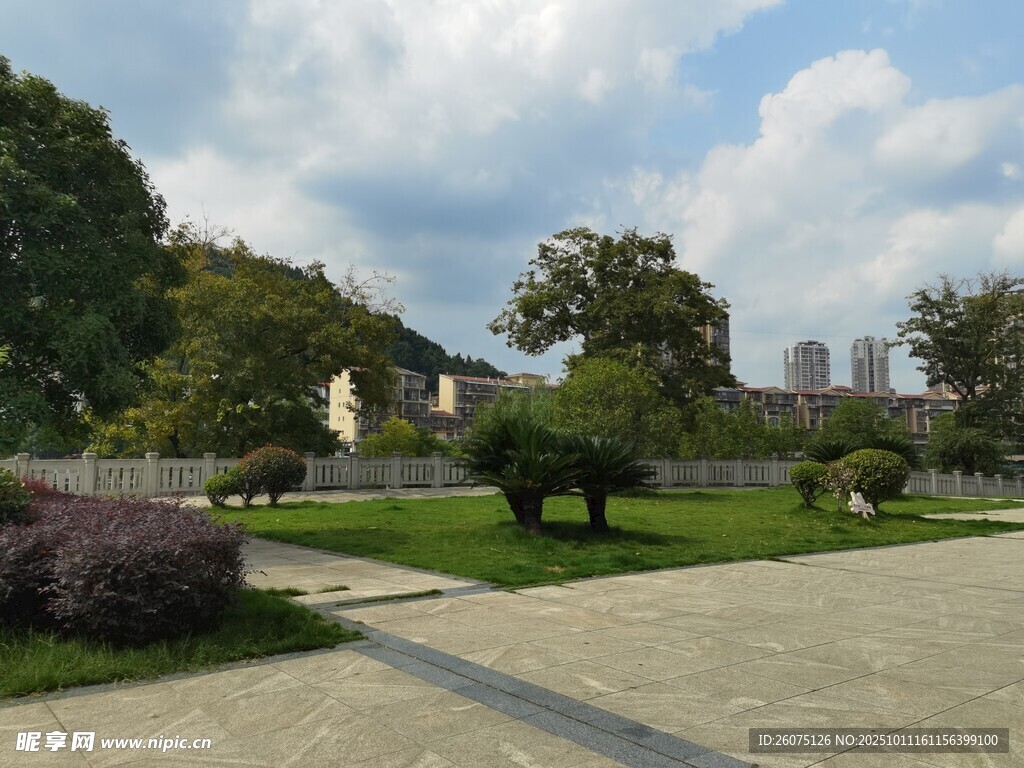 城市公园中的别致景观