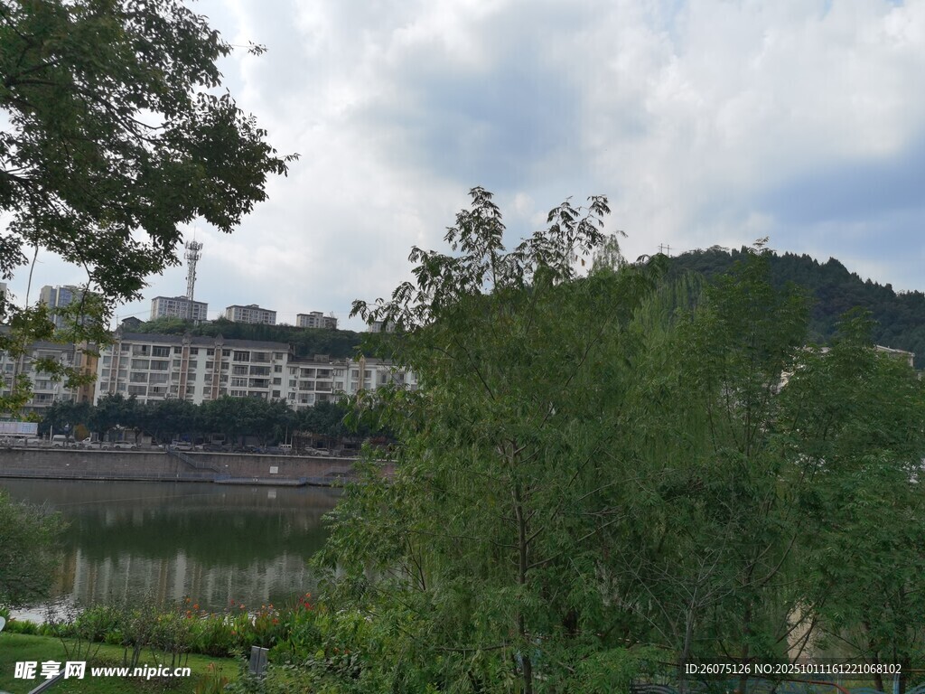 河畔绿树环绕的建筑景观