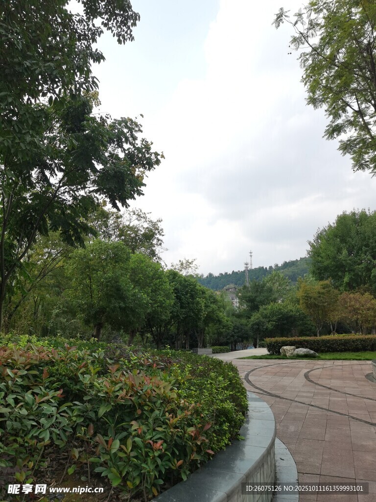 公园中的宁静小径景观