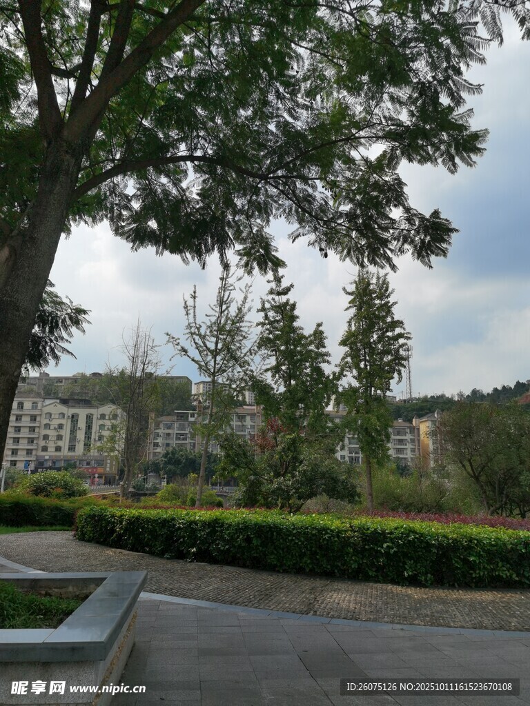 校园绿树环绕的开阔景致