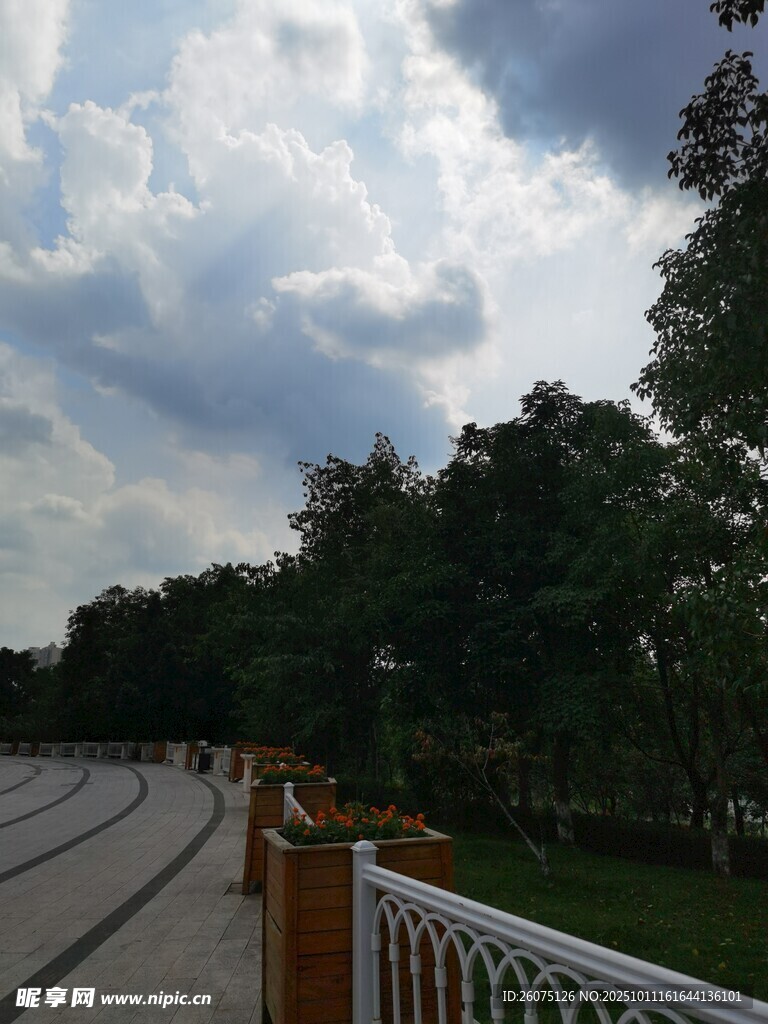户外林荫步道风景