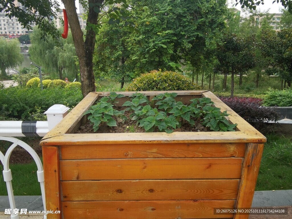 户外木质种植箱绿植景观