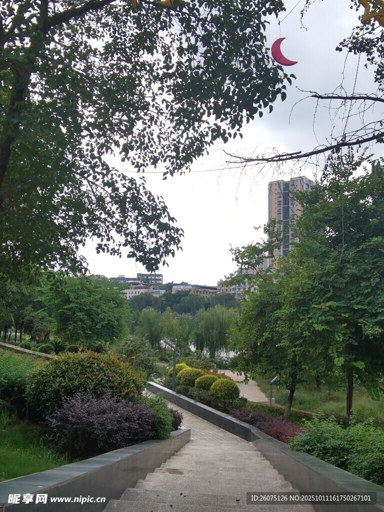 城市中的静谧林荫步道