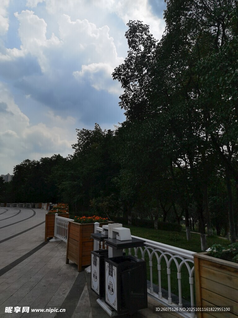 河畔林荫步道风景
