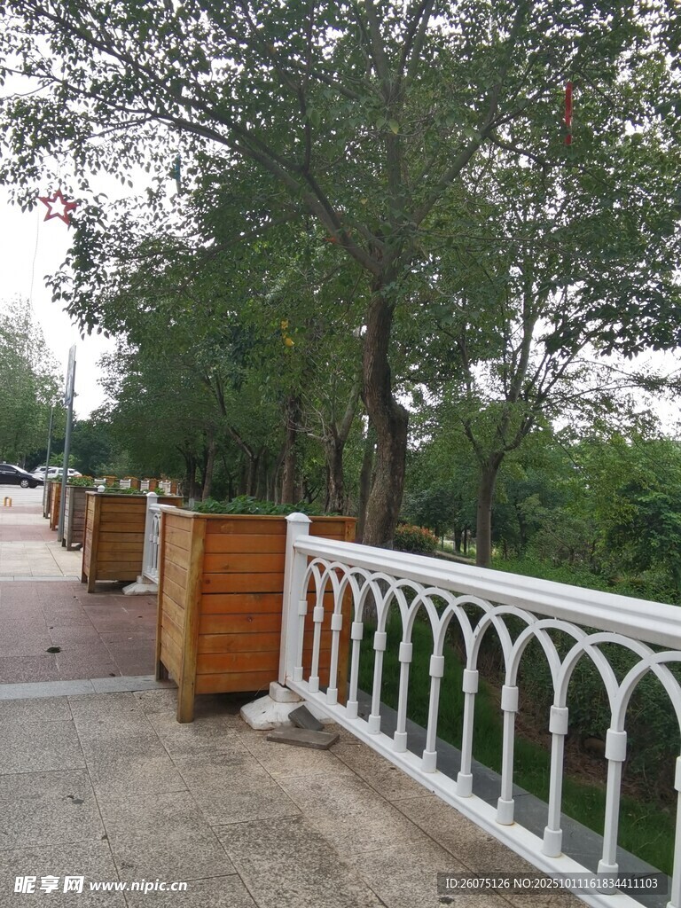 户外白色栏杆旁的林荫道