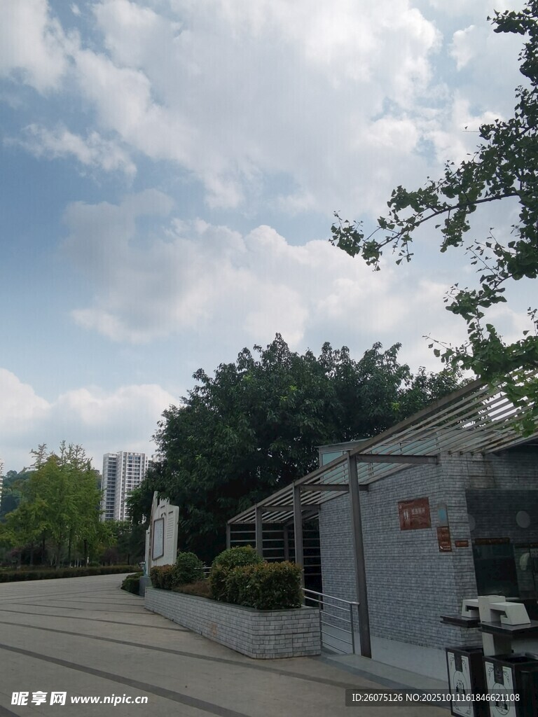 街道旁的小屋与绿树蓝天