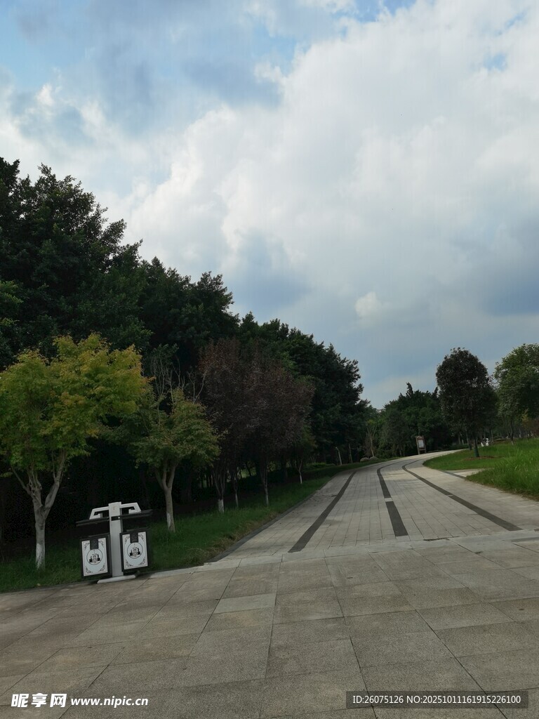 宽阔道路旁的绿树与设备