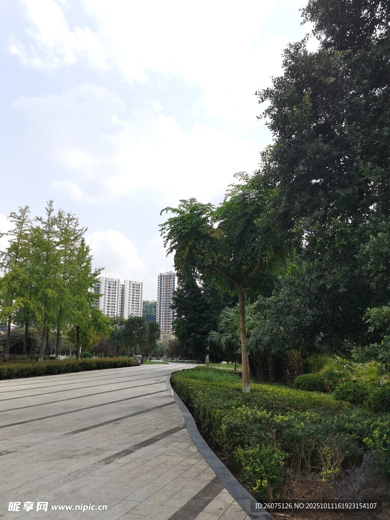 城市中的静谧绿植小径