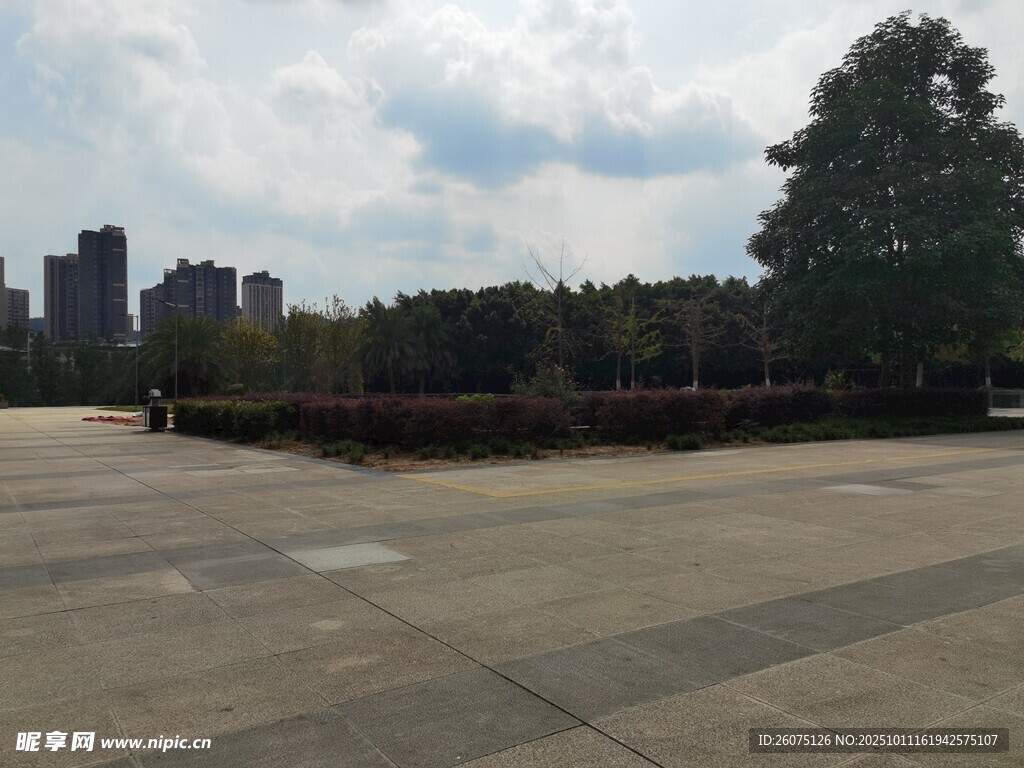 城市空旷广场与绿植景观