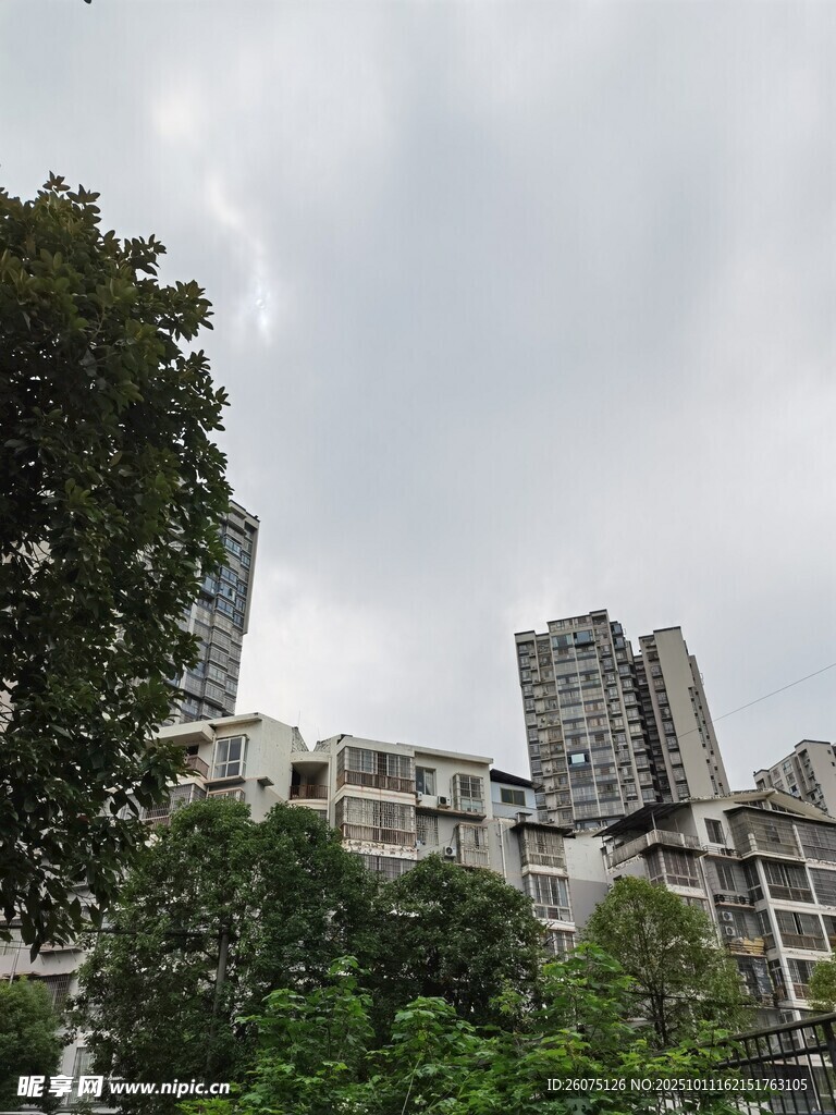 城市高楼与绿树景观