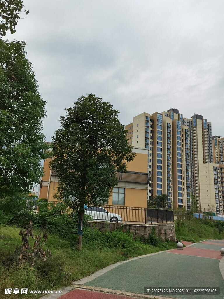 小区旁的绿树与多彩步道