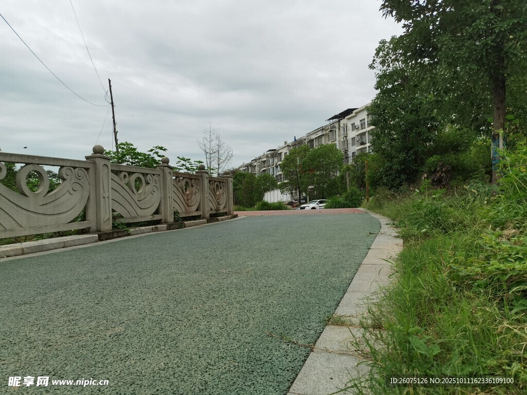 道路旁绿植与防护设施景观