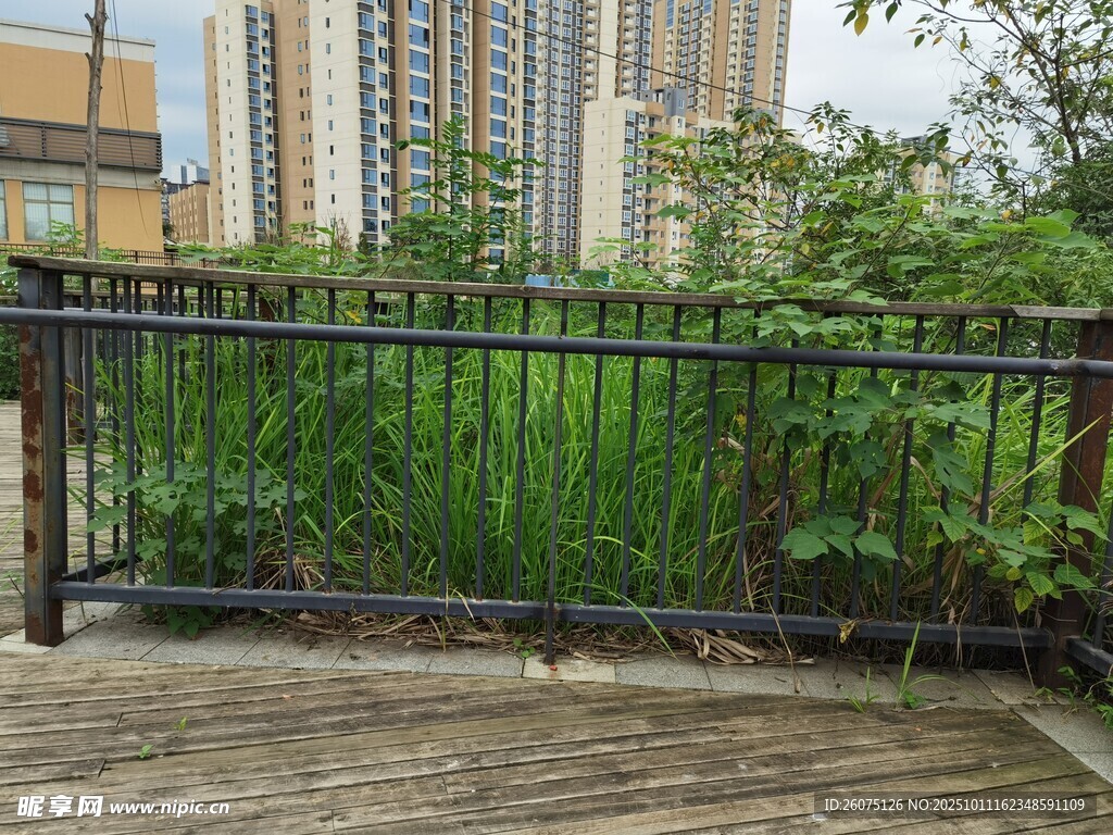 城市阳台绿植景观