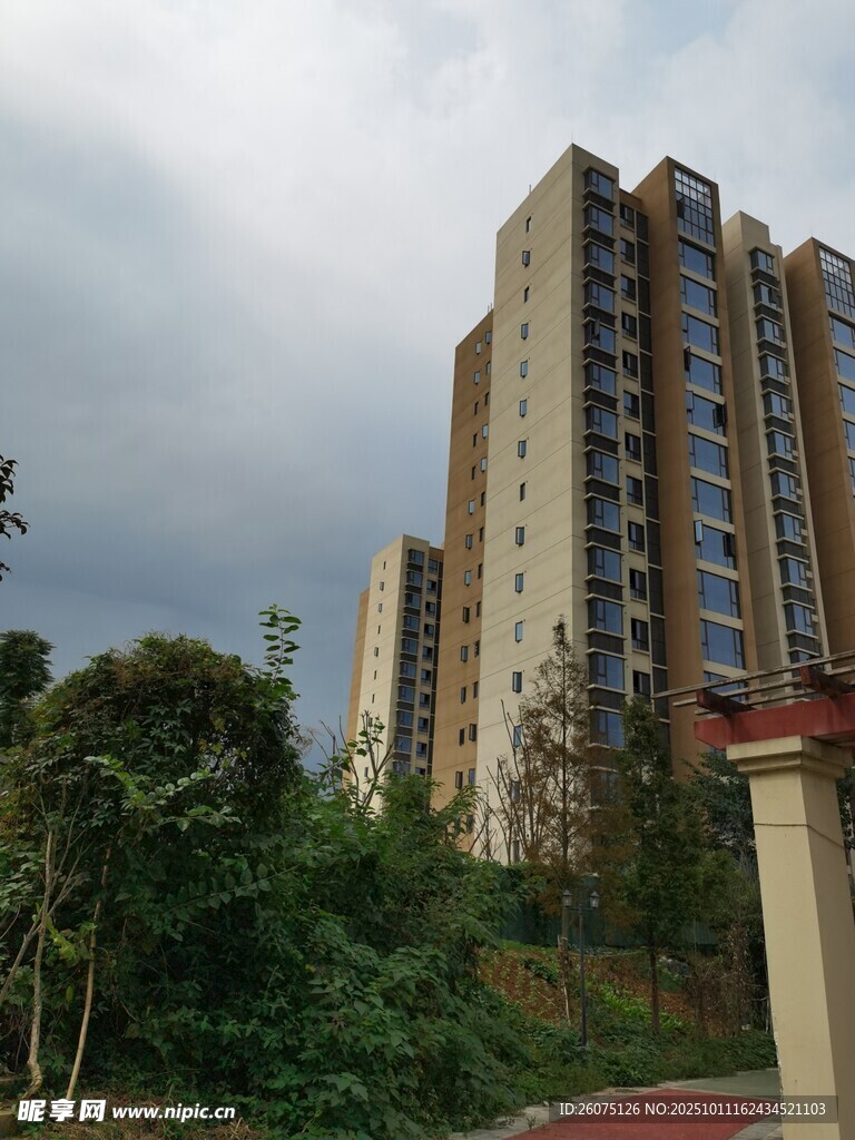高层住宅旁的绿植景观
