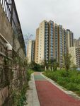 城市中绿意环绕的步道