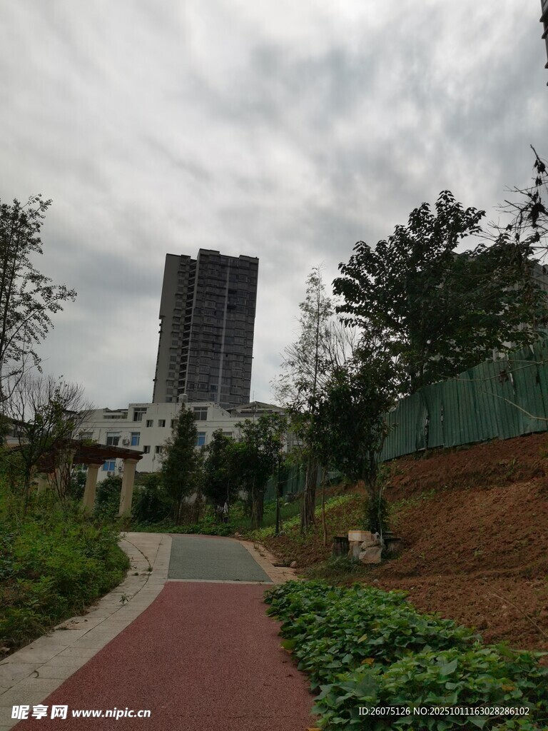 城市中的绿植小径景观