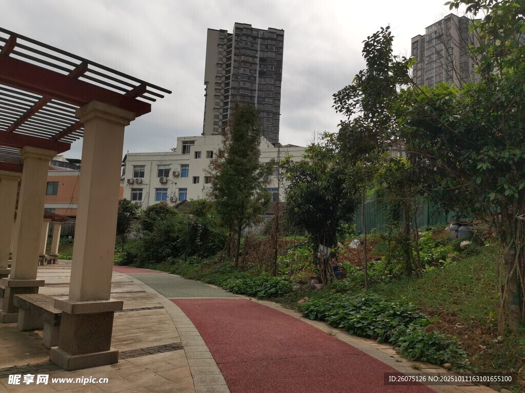 城市公园中的休闲步道