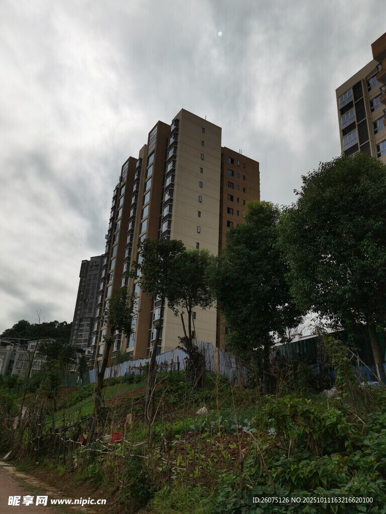城郊高层住宅与绿植景观