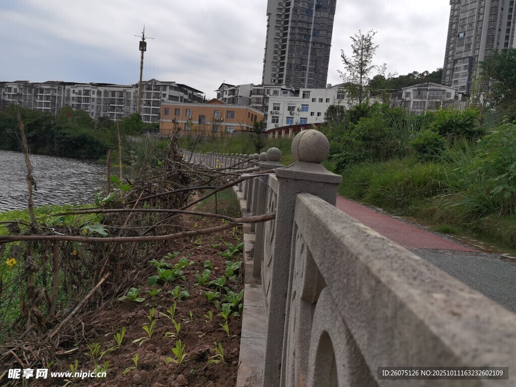 城市边缘的荒废河岸景观