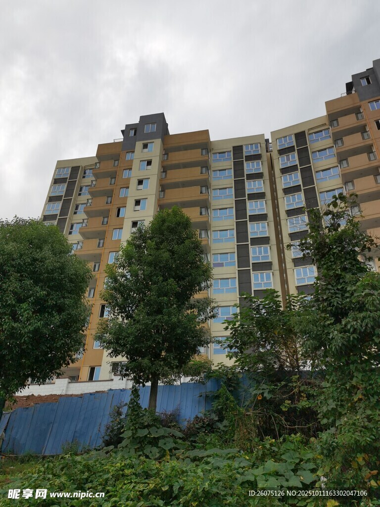 高层住宅楼旁绿植景观