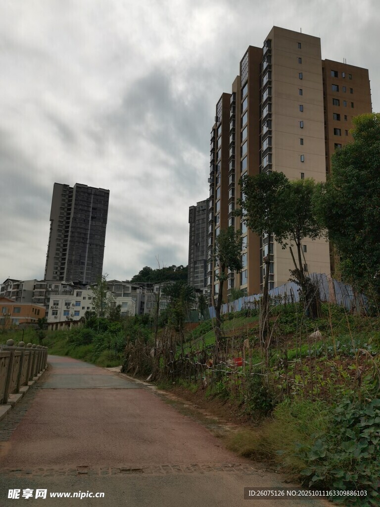 城郊小路旁的高楼景象