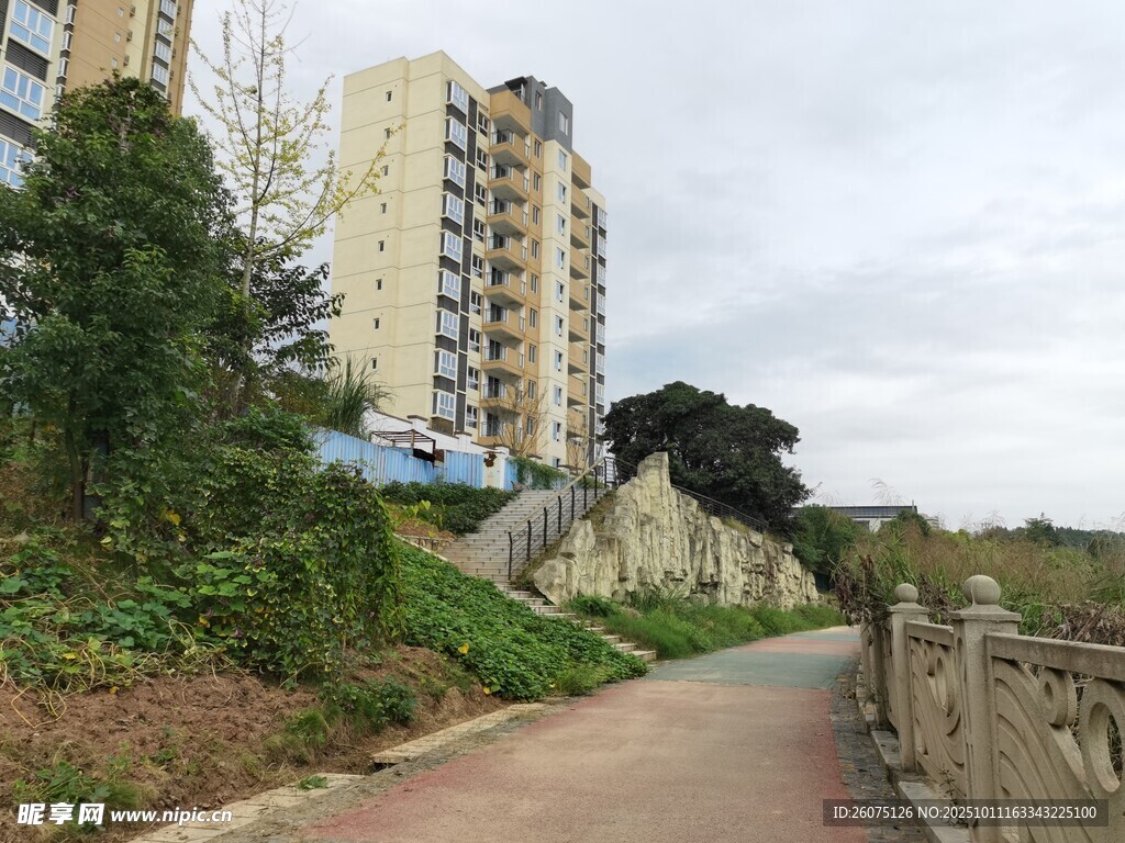 城市中蜿蜒的步道与高楼