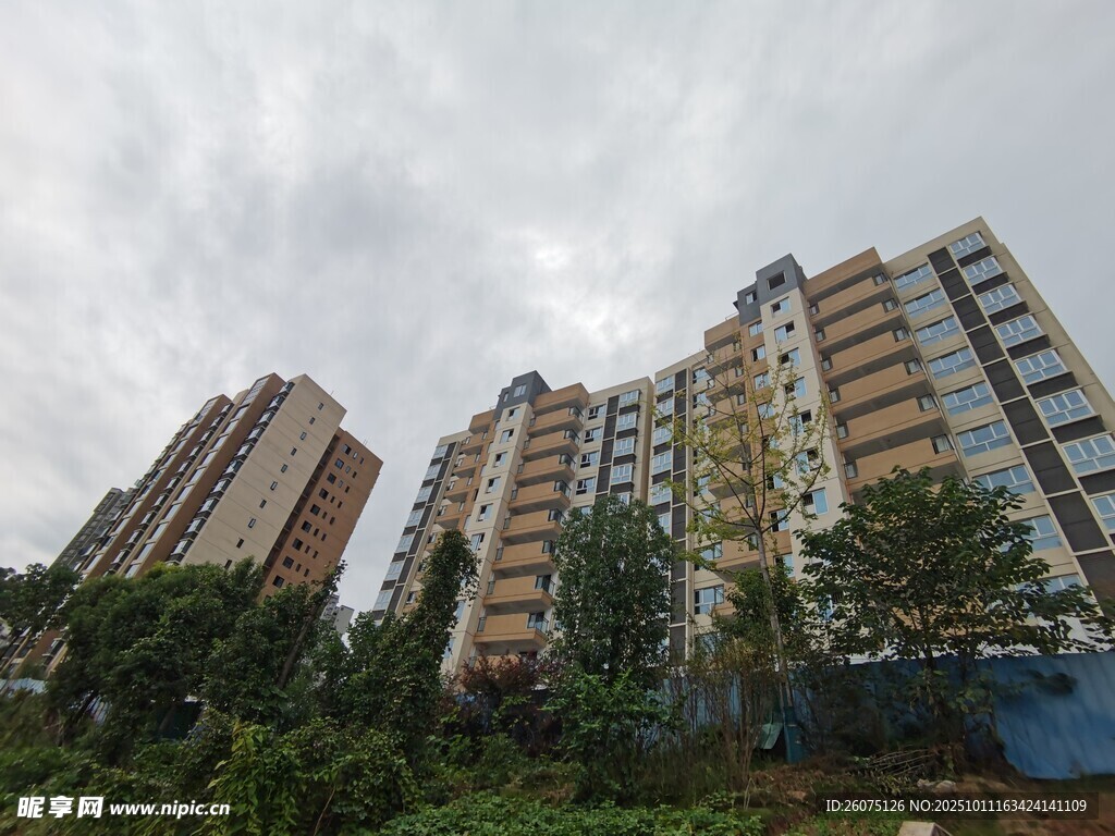 城市高层住宅与绿植景观