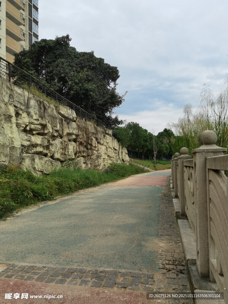 城市中幽静的石墙旁小路