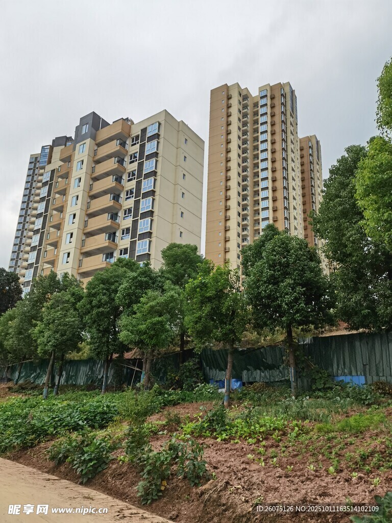 城市高楼与绿化景观