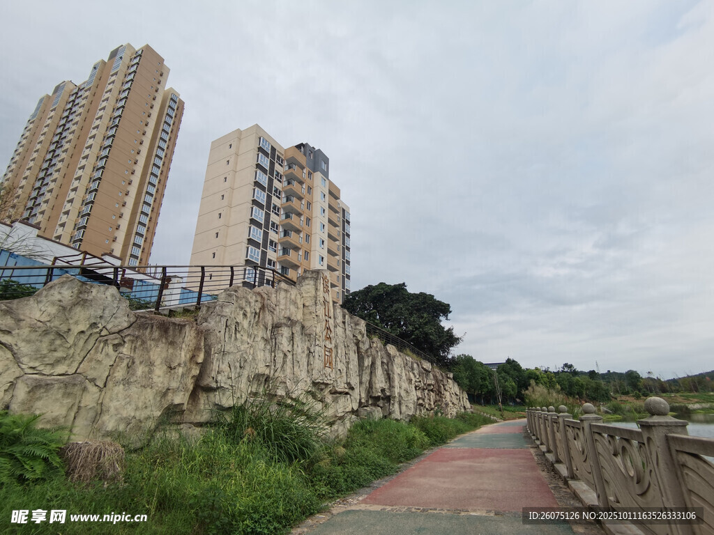 城市步道旁的高楼与绿植
