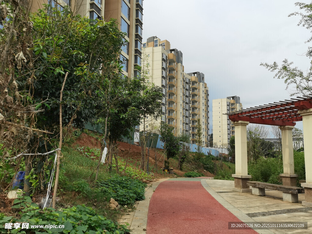 小区内的休闲景观步道